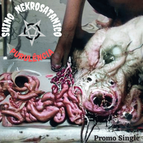 Suino Nekrosatanico : Purulência Promo Single